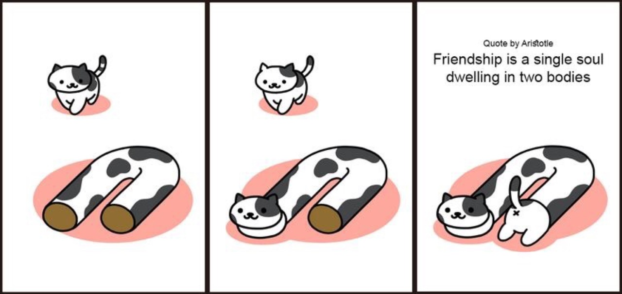 Three pictures of Neko Atsume cats and the Aristotle quote "Friendship is a single soul dwelling in two bodies."