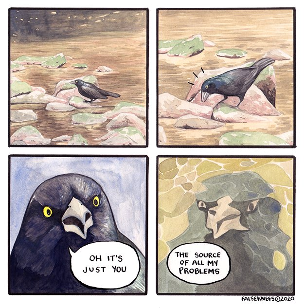 A four panel comic of a crow by falseknees looking at its own reflection. It says, "Oh it's just you. The source of all my problems."