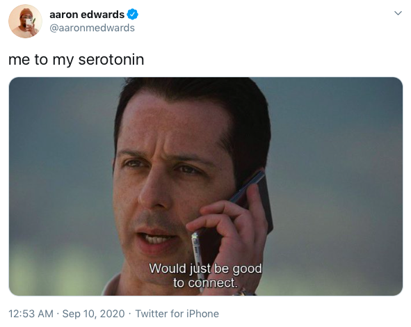 A screenshot of Kendall Roy from Succession saying "Would just be good to connect." The tweet captions this "me to my serotonin."