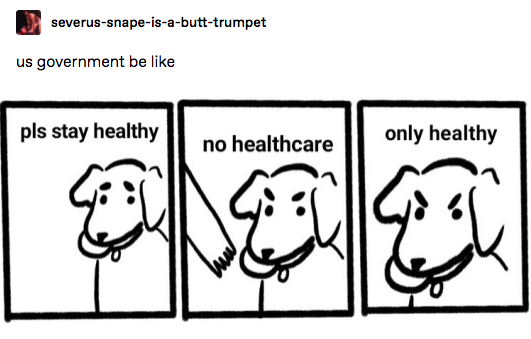 A three panel comic of a doc that refuses to give up its ball. It says "pls stay healthy, no healthcare, only healthy." It is captioned "us government be like"