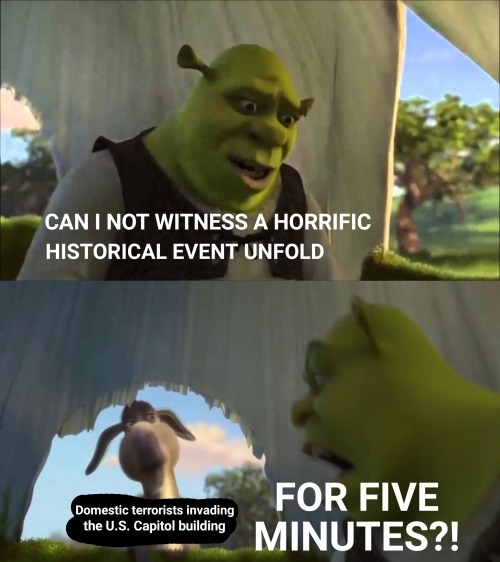 Shrek yelling at Donkey: "Can I not witness a horrific historical event unfold for five minutes?"