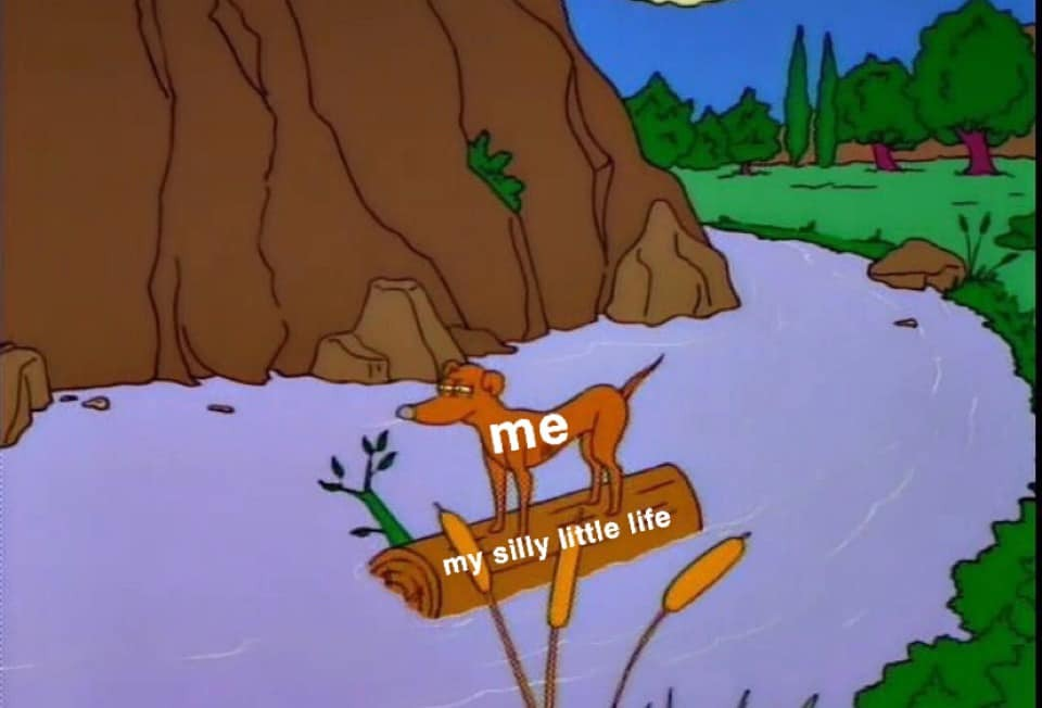 A screenshot from The Simpsons. Santa's Little Helper rides on a log down the river, labeled "me" and "my silly little life" respectively.