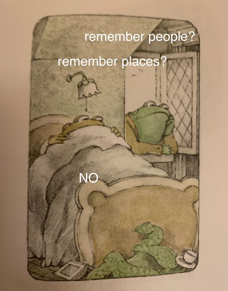 A picture from Arnold Lobel's Frog and Toad books. Frog leans against the window, asking, "Remember people? Remember places?" Toad responds, "No."