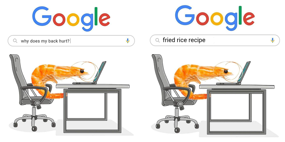 Two images of a shrimp in a computer chair Googling "why does my back hurt?" and "fried rice recipe"