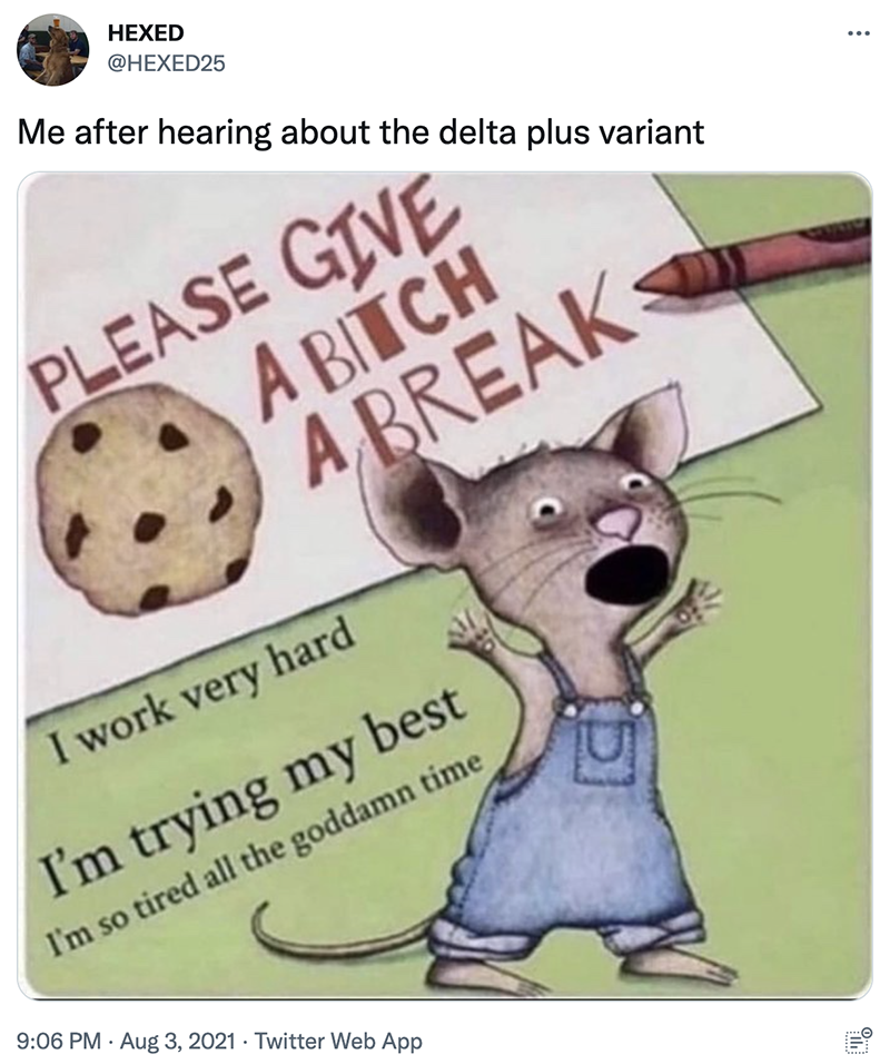 A screenshot of a tweet: a photoshopped cover of "If You Give a Mouse a Cookie" that says "Please Give a Bitch a Break" and the text "me after hearing about the delta plus variant."