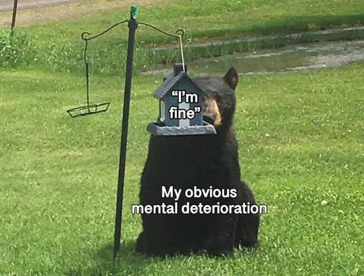 A black bear, symbolizing "my obvious mental deterioration," hides unconvincingly behind a small tree-shaped bird feeder that says "I'm fine."