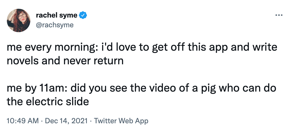 A tweet with the following text. Me every morning: I'd love to get off this app and write novels and never return. Me by 11 am: did you see the video of a pig who can do the electric slide.