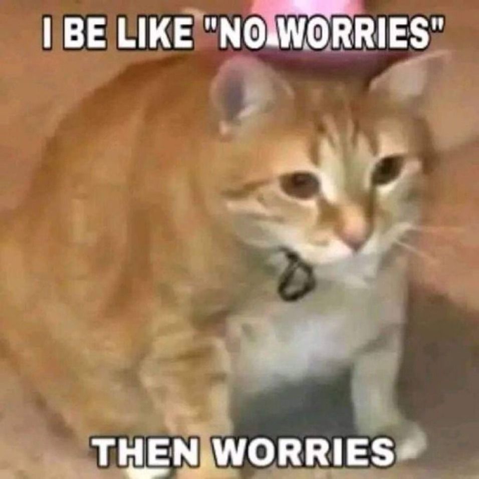 An image of a chonky orange cat with the text "I be like 'no worries' then worries."
