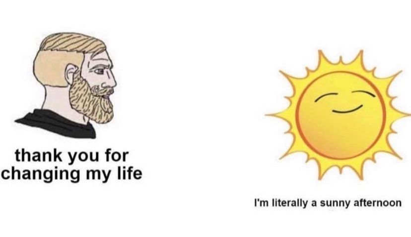 A blonde cartoon man looks at a smiling yellow sun. He says, "thank you for changing my life" while the sun just responds "I'm literally a sunny afternoon."