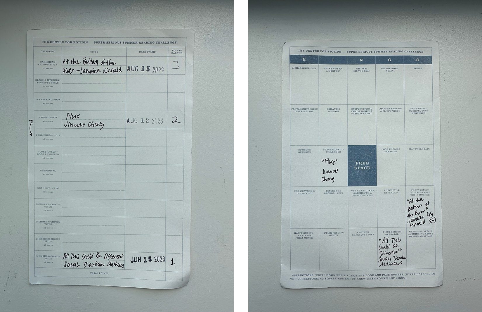 Left image is the reading log where you earn different points for different types of titles like "curriculum book revisited" or "banned book." On the right is a bingo card for different literary tropes or events, like "flashbacks to childhood" or "poor choices are made."