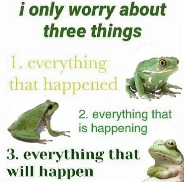 A meme that says "I only worry about three things: everything that happened, everything that is happening, and everything that will happen." Three pensive frogs consider these worries.