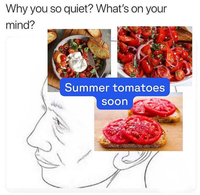 A meme where a person is being asked, "Why you so quiet? What's on your mind?" A line drawing of a man reveals his true thoughts: summer tomatoes soon.