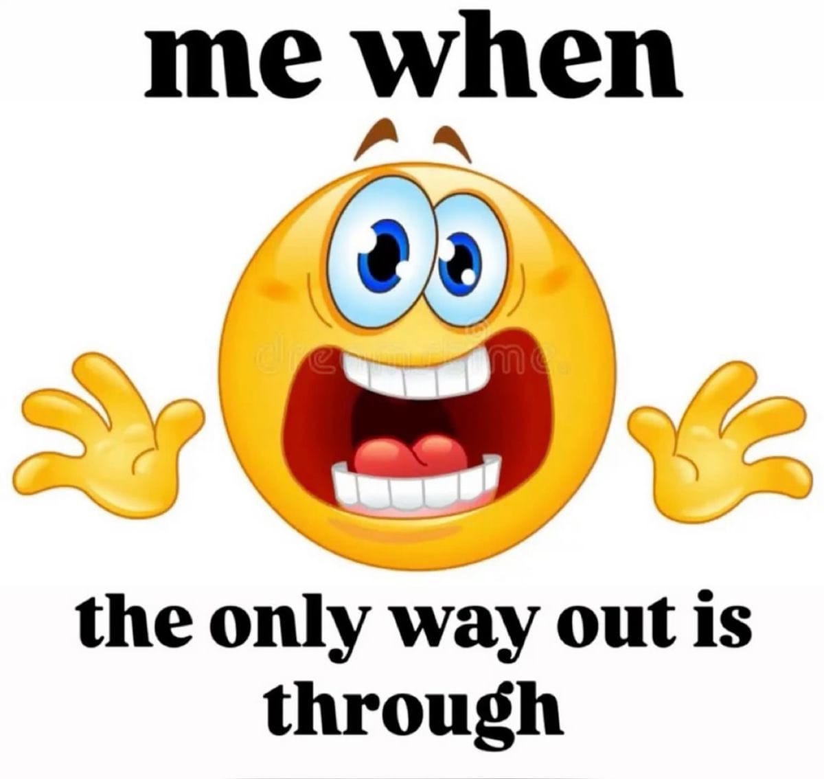 A panicked smiley face with the caption "me when the only way out is through"