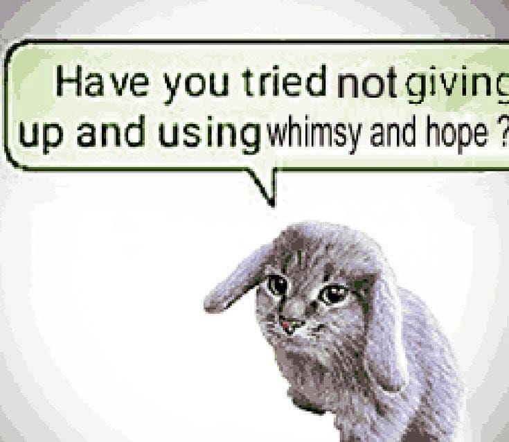 A pixelated image of a bunny with a cat's face and a text bubble that says, "Have you tried not giving up and using whimsy and hope?"